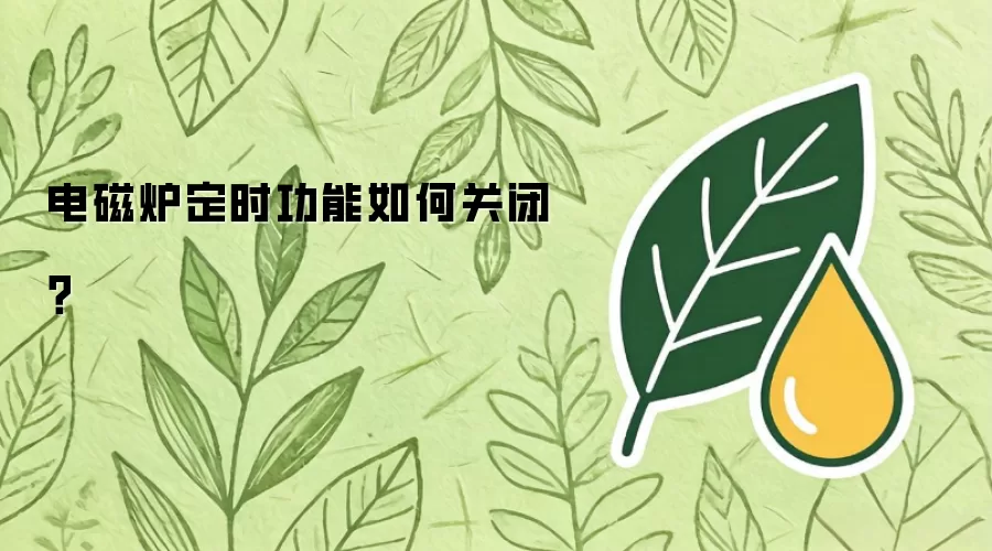 电磁炉定时功能如何关闭？