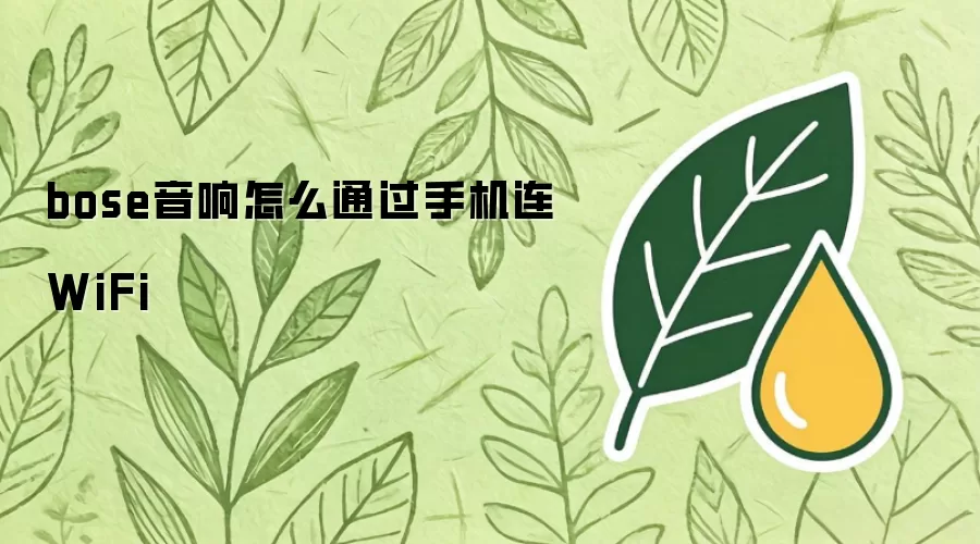 bose音响如何通过手机连WiFi