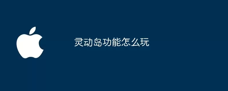 灵动岛功能如何玩