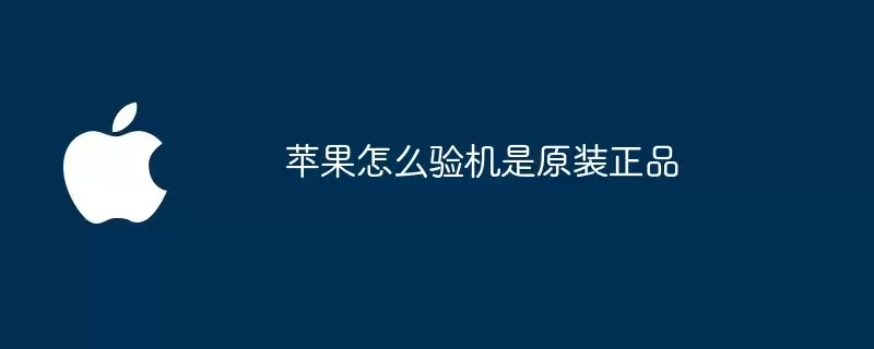 苹果如何验机是原装正品