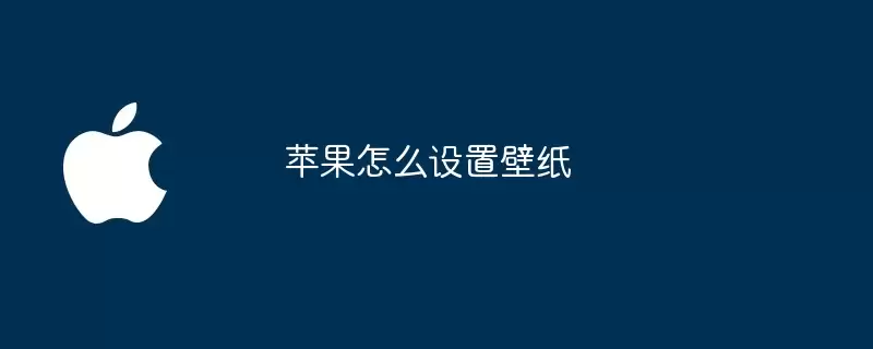 苹果如何设置壁纸