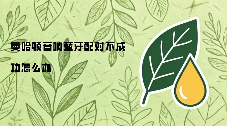 曼哈顿音响蓝牙配对不成功如何办
