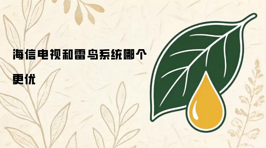 海信电视和雷鸟系统哪个更优