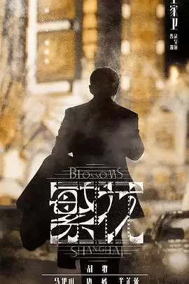 电视剧《繁花 沪语版》剧情介绍