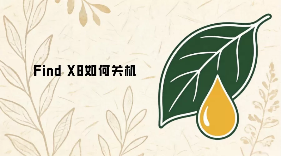 Find X8如何关机