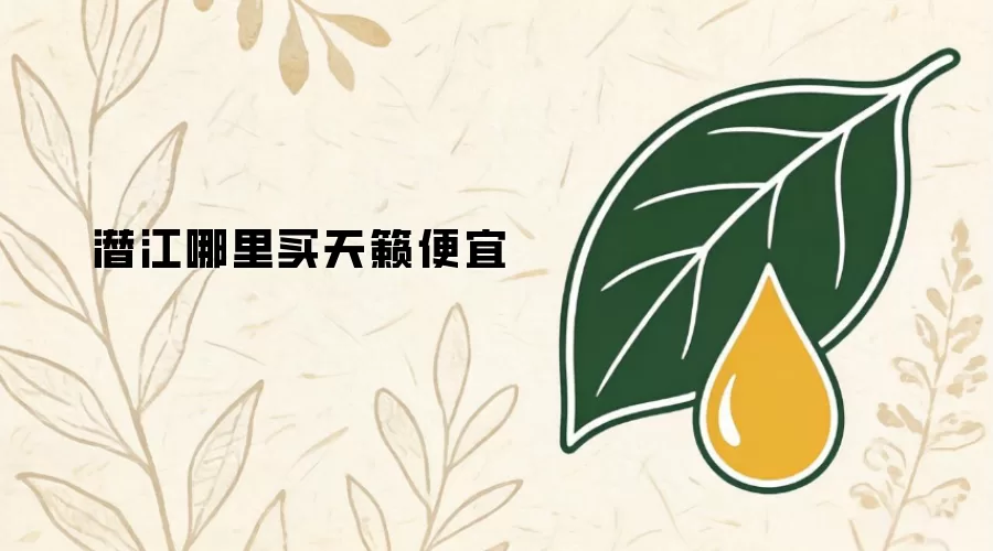 潜江哪里买天籁便宜