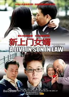 电视剧《倒插门》剧情介绍