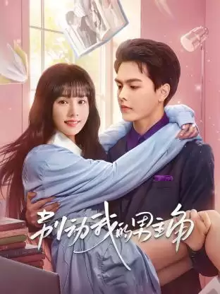 电视剧《别动我的男主角》剧情介绍
