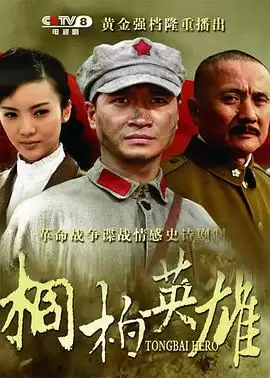 电视剧《桐柏英雄》剧情介绍