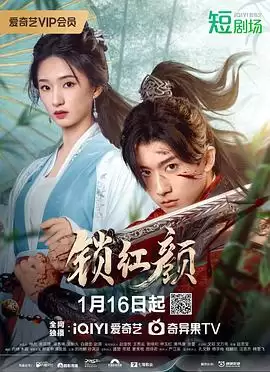 电视剧《锁红颜》剧情说明
