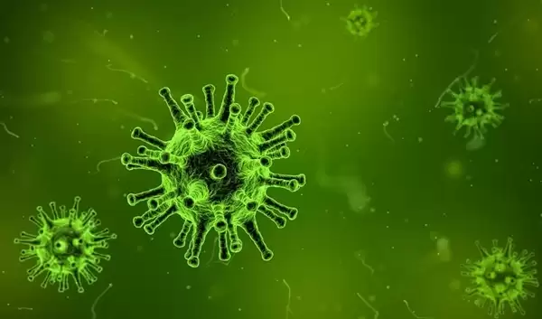 美国科学家首次用AI设计出病毒：用于感染细菌 不会对人类构成威胁