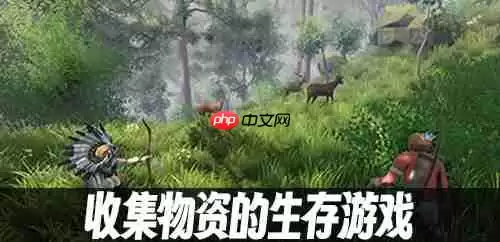 生存33天如何进行藏品冲刺