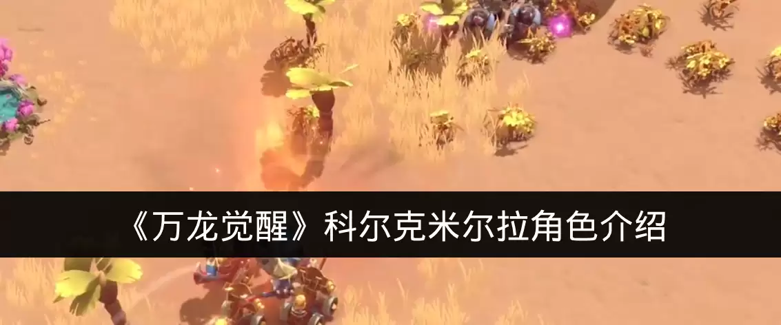 《万龙觉醒》科尔克米尔拉角色说明