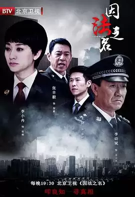 电视剧《因法之名》剧情说明