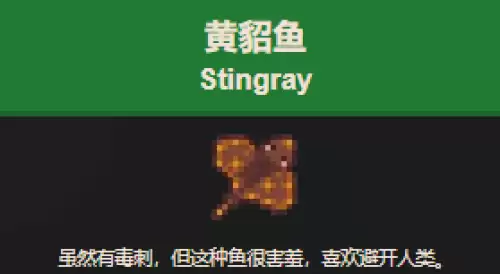 星露谷物语黄貂鱼怎么钓 星露谷物语黄貂鱼怎么钓