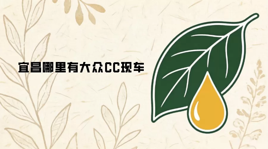 宜昌哪里有大众CC现车