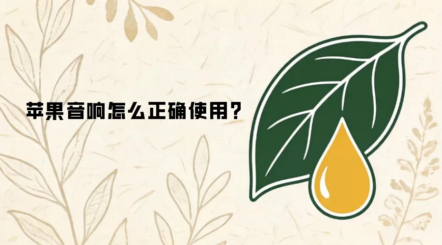 苹果音响怎么正确使用？