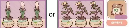 我的休闲时光花架整理固定搭配方案 我的休闲时光花架整理固定搭配方案
