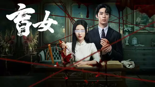 电视剧《盲女》剧情介绍