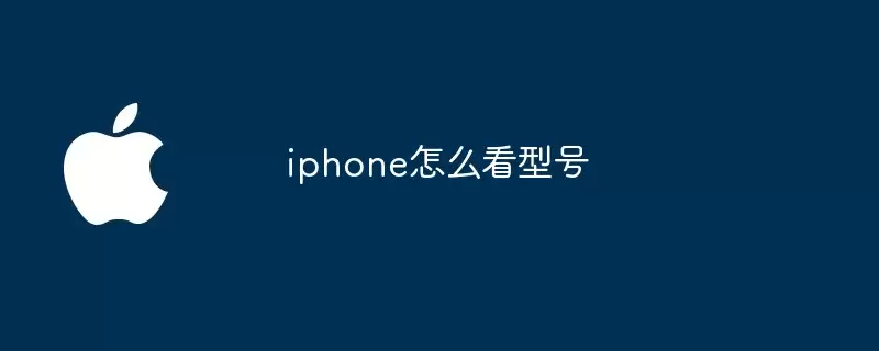 iphone如何看型号