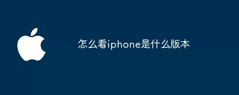 如何看iphone是什么版本