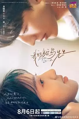 电视剧《我的鸵鸟先生》剧情说明