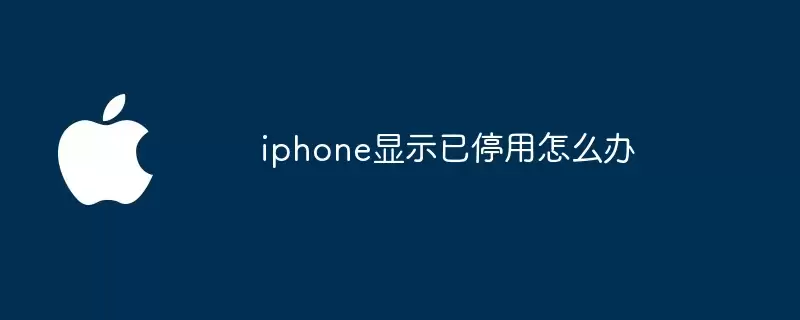 iphone显示已停用如何办
