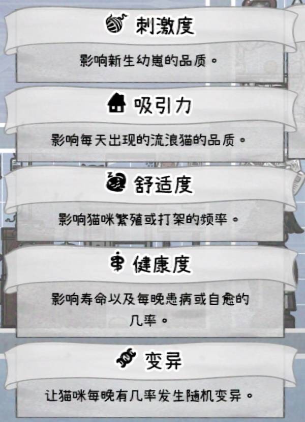 喵喵的结合中后期猫咪培育技巧