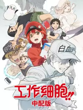 动漫《工作细胞第二季国语版》剧情说明