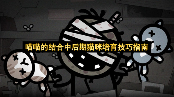 喵喵的结合中后期猫咪培育技巧指南