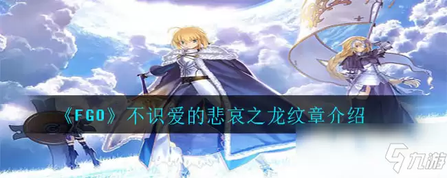 《FGO》不识爱的悲哀之龙纹章如何样 属性图鉴分享