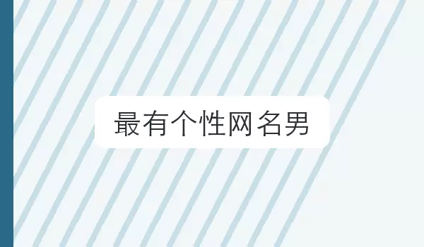 [最有个性网名男] 个人风格名字