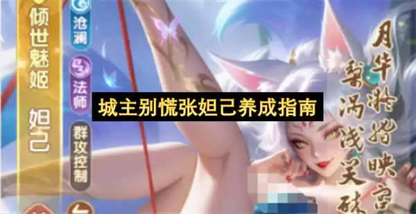 城主别慌张妲己养成指南