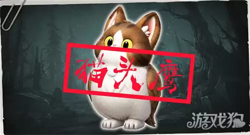 超自然行动组猫头鹰捕捉攻略 猫头鹰如何捕获