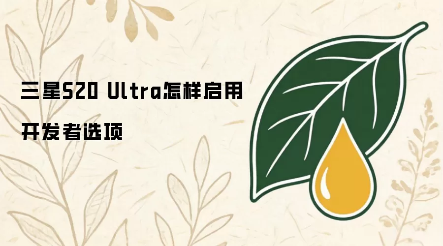 三星S20 Ultra怎样启用开发者选项