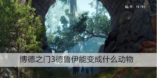 博德之门3德鲁伊能变成什么动物