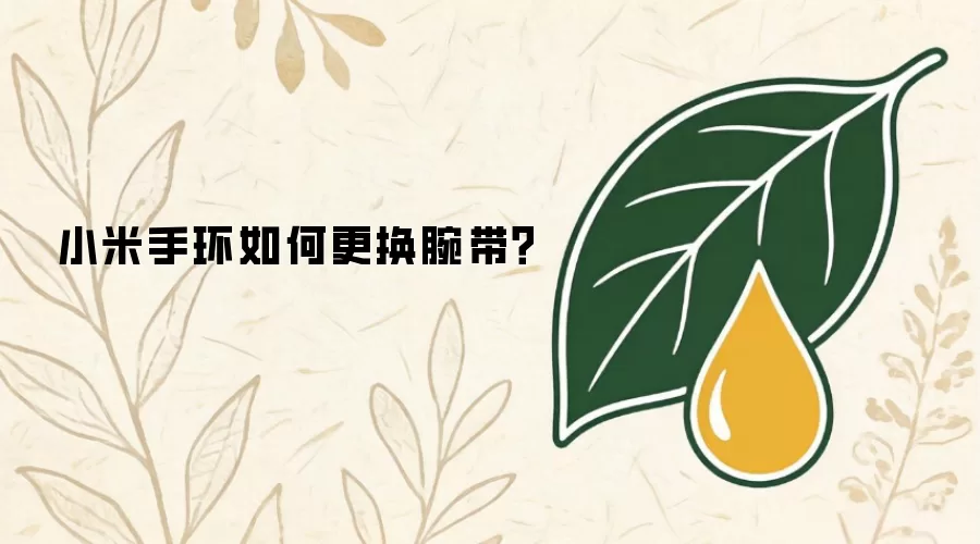 小米手环如何更换腕带？
