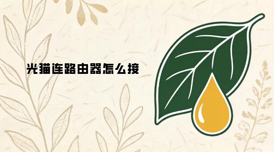 光猫连路由器如何接