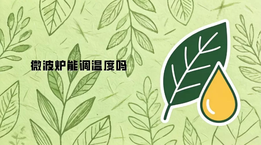 微波炉能调温度吗