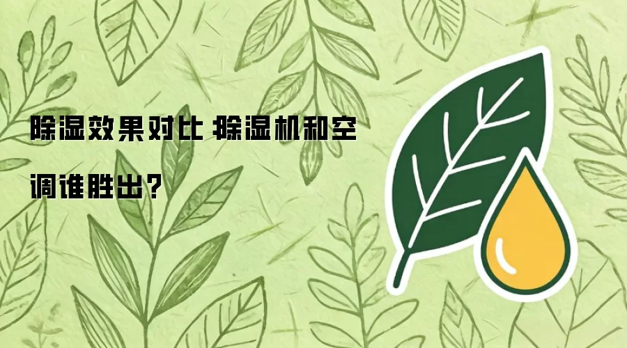 除湿效果对比：除湿机和空调谁胜出？