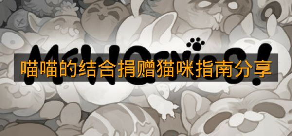 《喵喵的结合》捐赠猫咪指南分享