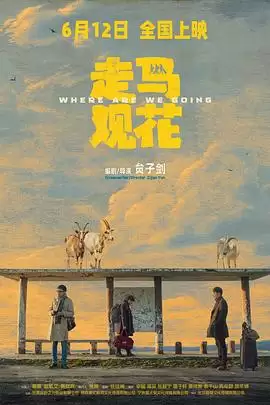 电影《走马观花》剧情说明