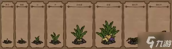 《饥荒》种地教程 巨大作物怎么种