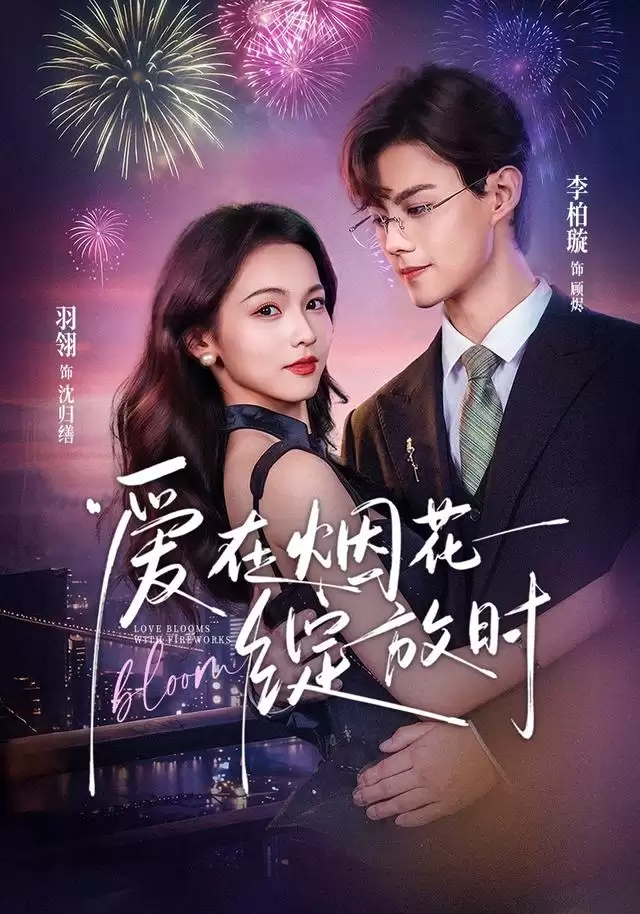 短剧《爱在烟花绽放时》剧情说明