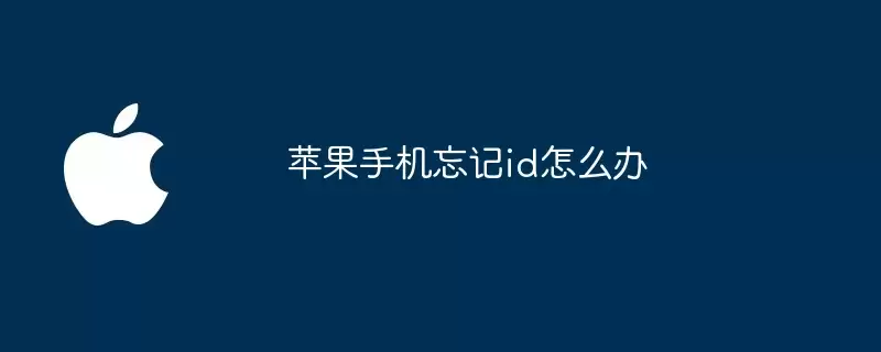苹果手机忘记id如何办