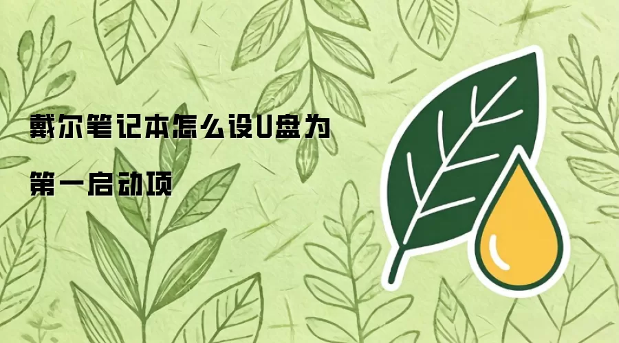 戴尔笔记本怎么设U盘为第一启动项