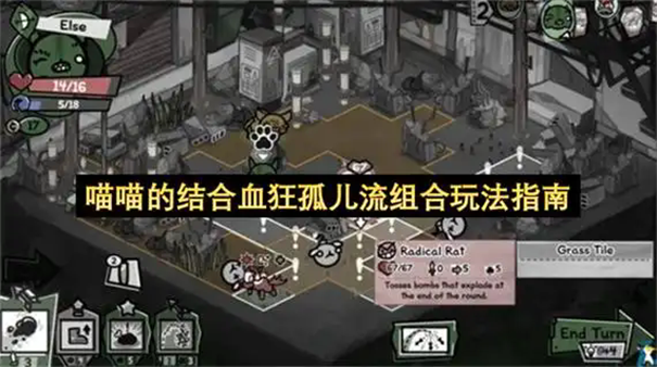 喵喵的结合血狂孤儿流怎么玩