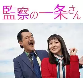 电影《监察的一条先生》剧情介绍
