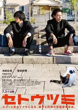 电影《濑户内海》剧情介绍