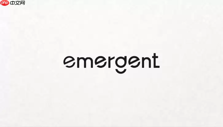 Emergent_AI生成的软件如何部署使用？